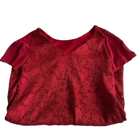 Taylor RED LACE DRESS Size 6 - Picture 3 of 7